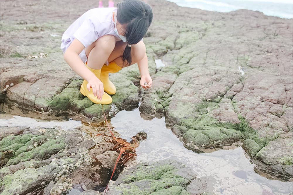 鉅航-龍蝦島抓龍蝦體驗行程照