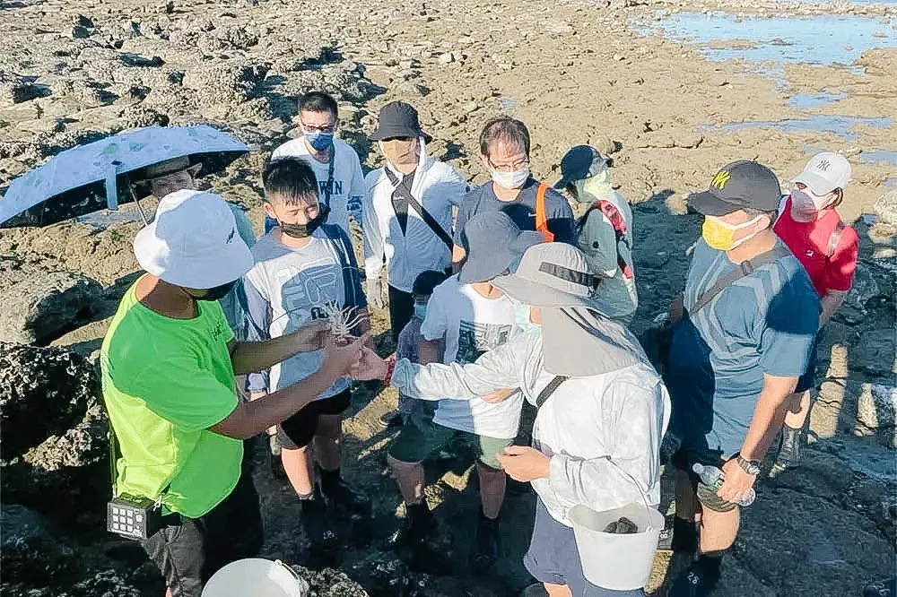 海次元-白天潮間帶、晚上夜照行程照