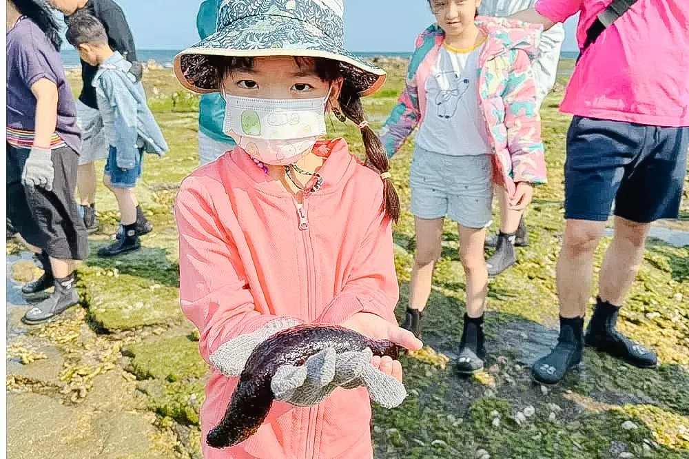 海次元-白天潮間帶、晚上夜照行程照