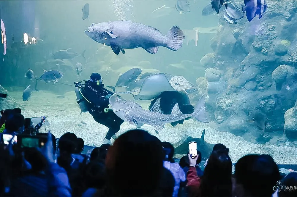 水族館門票行程照