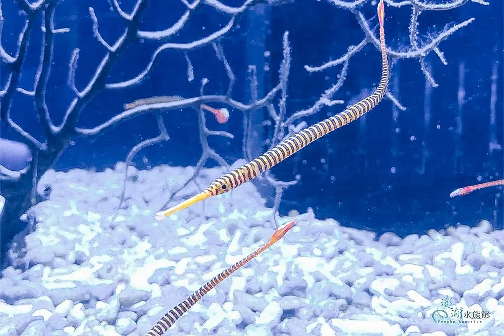 水族館門票行程照