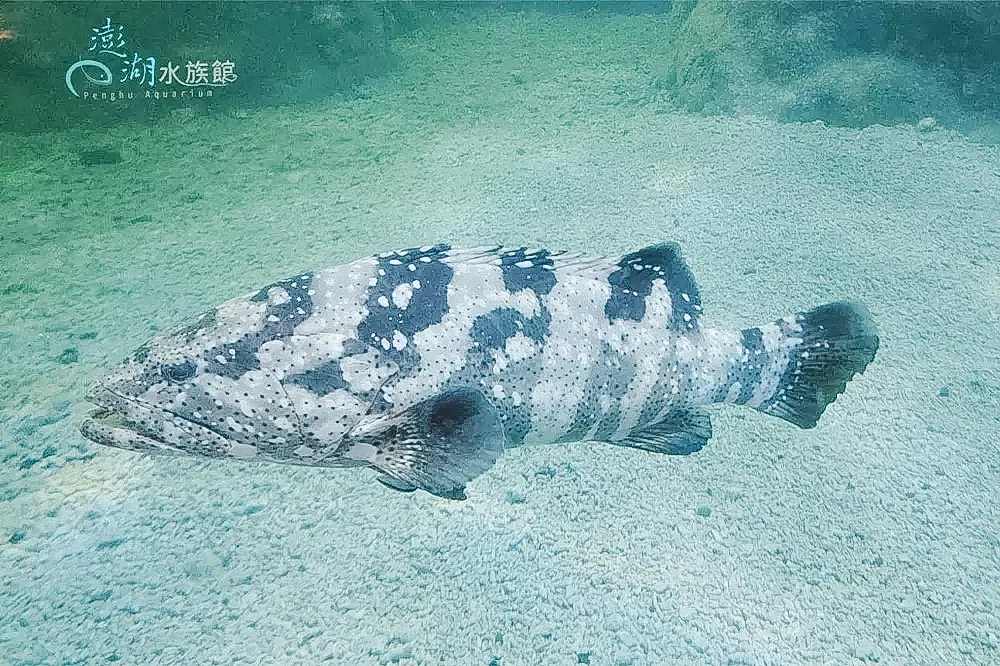 水族館門票行程照