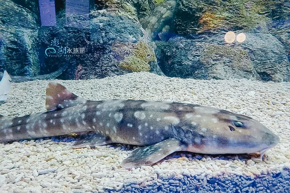 水族館門票行程照