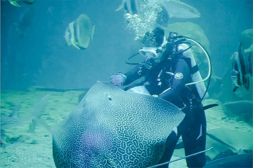 水族館門票行程照