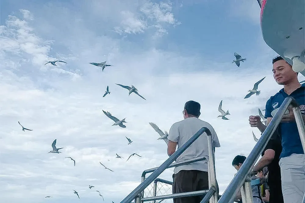 元貝田媽媽-龍瑩海上休閒行程照