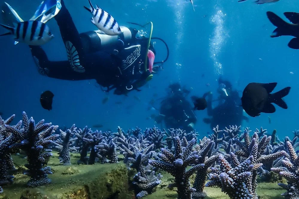  體驗潛水--波賽頓海洋運動俱樂部行程照