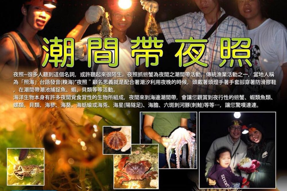 潮間帶夜照體驗行程照