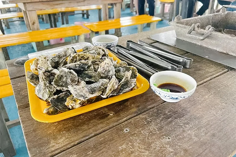 海洋牧場行程照